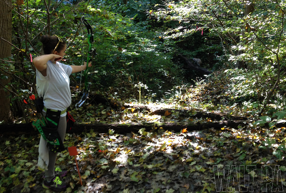 Stowe Archery Shoot - Sept 2013 3D Shoot - 17